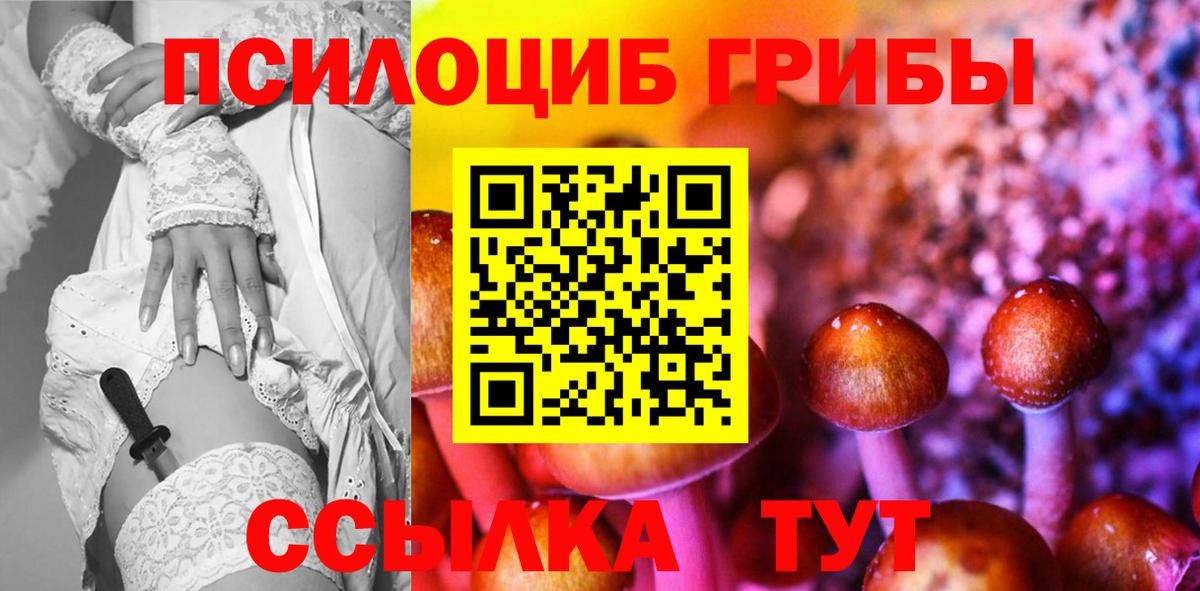 Псилоцибиновые грибы Psilocybe  Вход с VPN  Малоярославец 